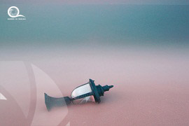Still Life Fine Art