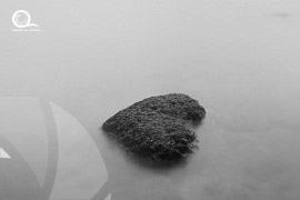 Still Life Fine Art