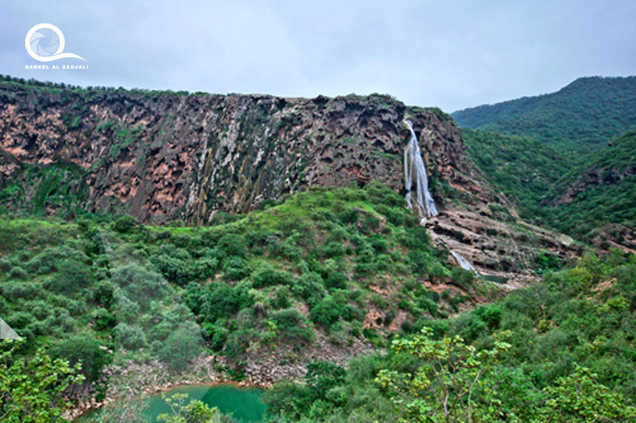 Oman / Dofar 
																																					<br> Wadi Darbat