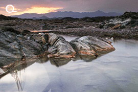 Oman / Muscat 
																					<br> Wadi Al Khud