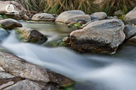 Oman / Muscat 
																									<br> Wadi Al Khud