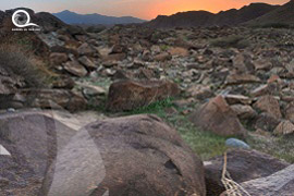 Oman / Muscat 
																											<br> Wadi Al Khud