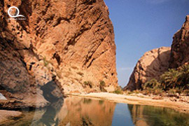 Oman / Muscat 
																																	<br> Wadi Shab