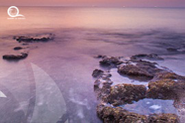 Oman / Muscat 
																																					<br> Ras Alhara