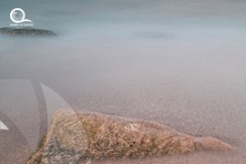 Oman / Muscat 
																																									<br> Authiba