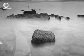 Oman / Muscat 
																					<br> Authiba