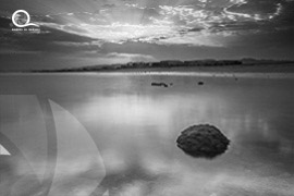 Oman / Muscat 
																									<br> Authiba