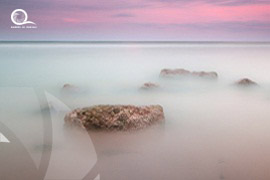 Oman / Muscat 
																															<br> Authiba