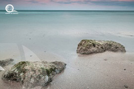 Oman / Muscat 
																																	<br> Authiba